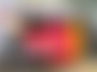 Foro debate importância da juventude para o mundo sindical