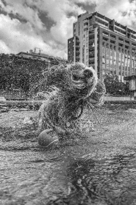 Shaking Off