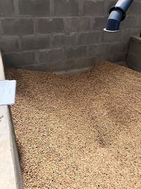 WhatsApp Image 2021-07-30 at 1.59.48 PM (4).jpeg