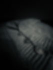 8107B11D-258B-4B52-A901-C499D6724528.jpeg