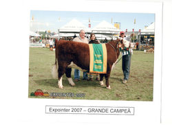 EXPOINTER_2007_-_GRANDE_CAMPEÃ