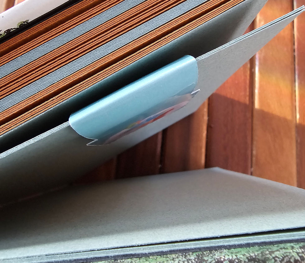 Thumbnail: Succulent in Clay Pot on Teal Background, Magnetic Bookmark To Hold Your Place