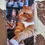 Thumbnail: Luna and Cheddar Crossed Paws, Cats, Laminated Bookmark To Hold Your Place