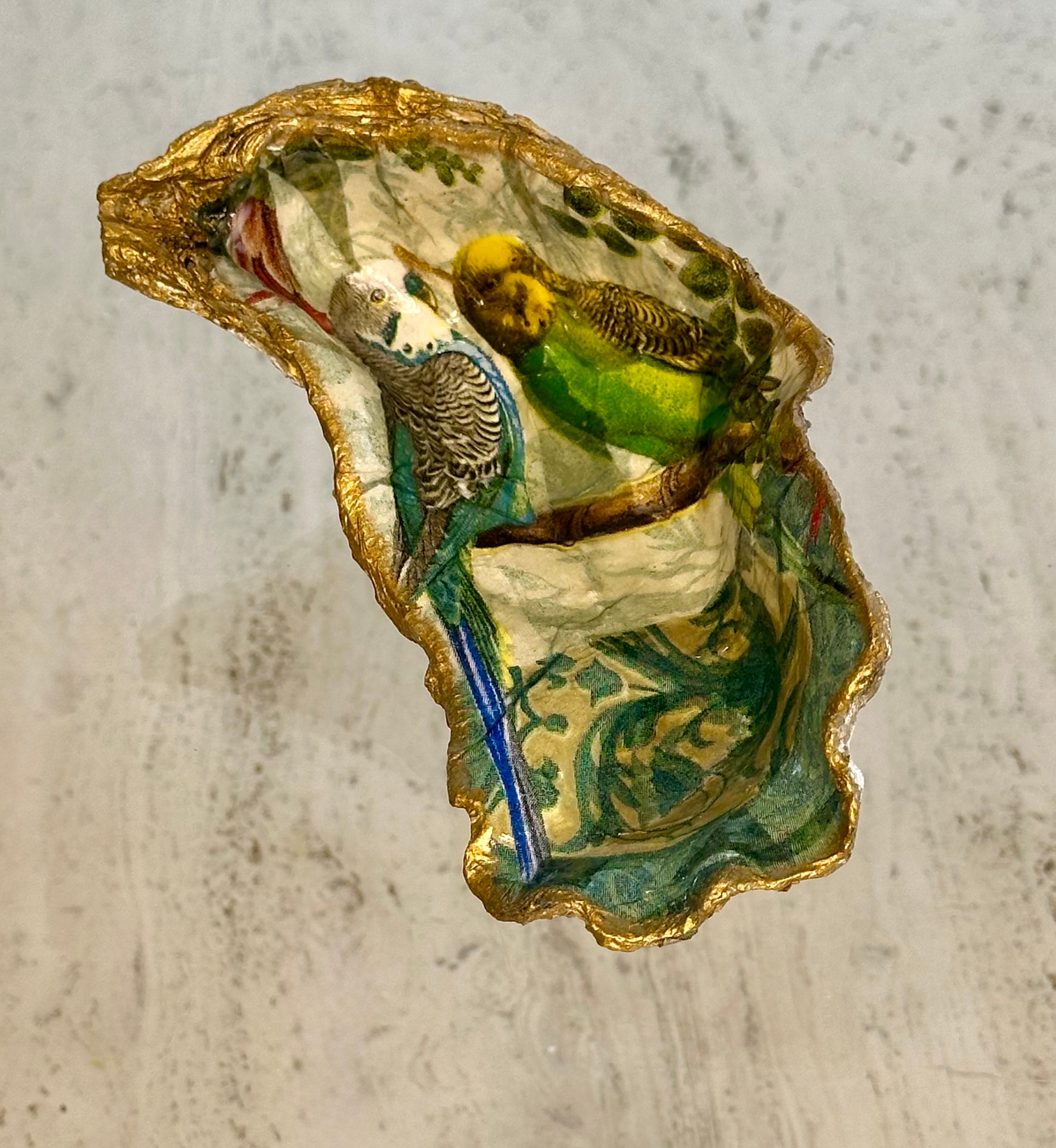 Caparazón de periquito