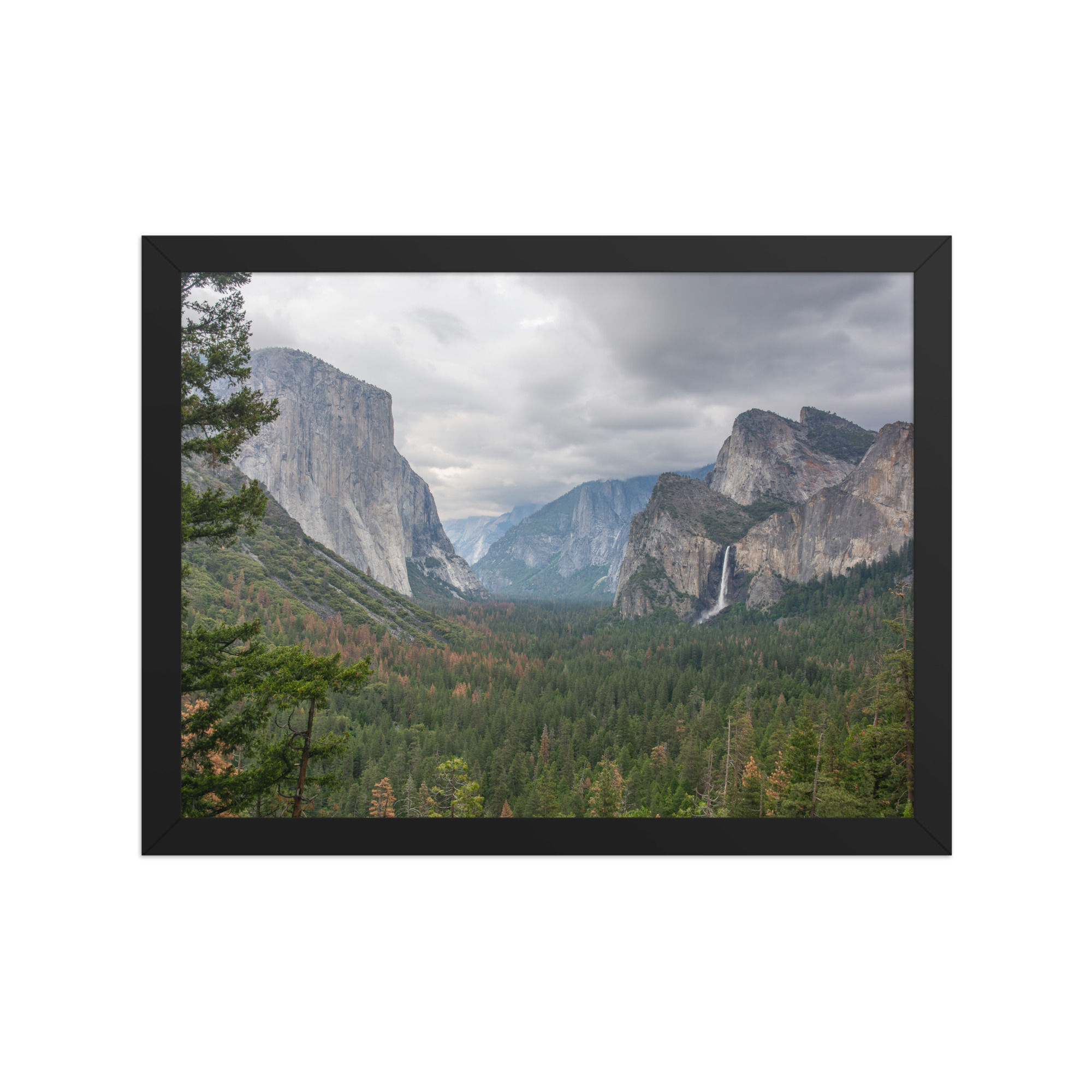 Framed Print (Size 12" x 16") - Yosemite National Park, USA