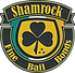 Secure online bail bond indemnitor portal for Shamrock Bail Bonds in Southwest Florida