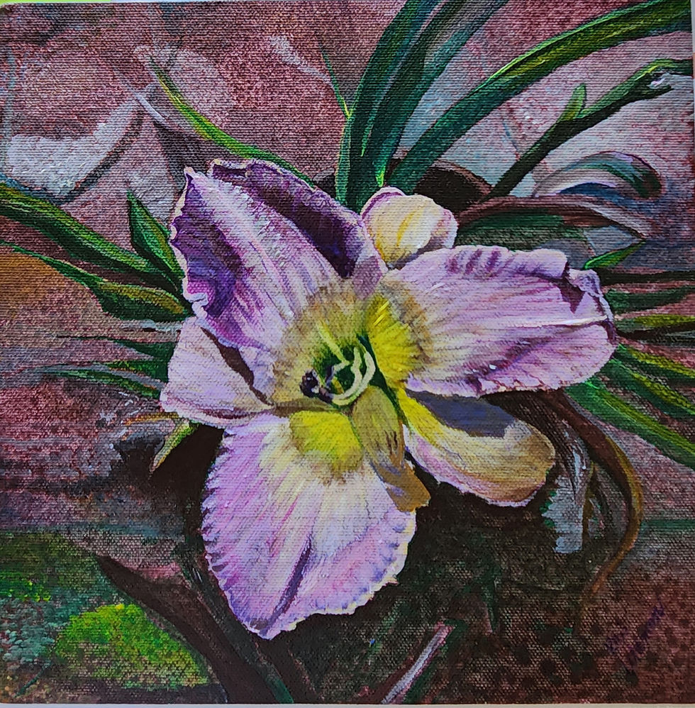 Small Daylily