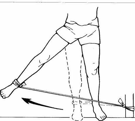 exercise