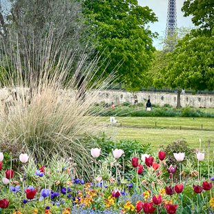 Love at First Sight: My First Time in Paris