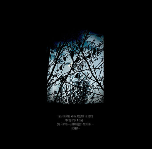 I WATCHED THE MOON AROUND THE HOUSE
UNTIL UPON A PANE -
SHE STOPPED - - A TRAVELLER'S PRIVILEGE -
FOR REST --