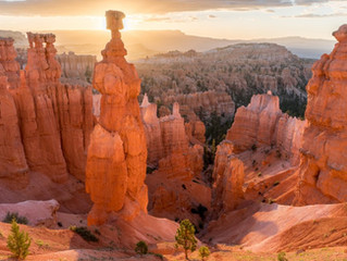 13 Teachings from the Desert