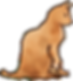 Cat from Loverless Beds book cover