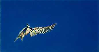 NewFeathers.jpeg