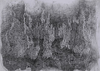 10 焰 53×39cm (含框尺寸) 代針筆、墨、紙本 2021.jpg