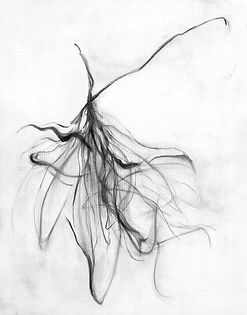 10. 花女2 Dancing Flowers 2,  27x35x2cm (畫心), 45x45x5.5cm(含框),炭、石墨、畫布, 2022.jpg