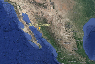 Mapa Ciudad Obregón, ubicación 
