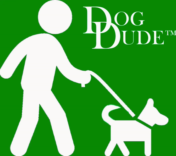 White animated log of male figure walking a dog with it's tail wagging on a green background.