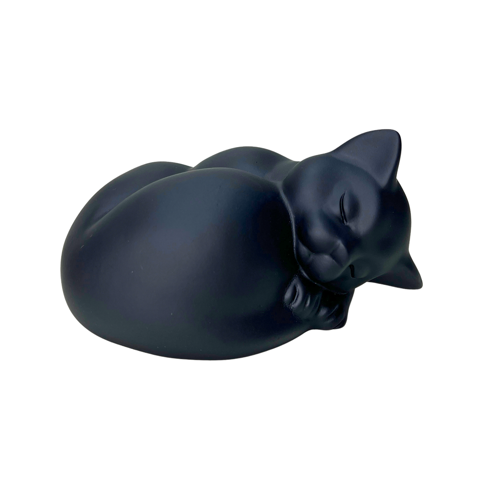 Miniatura: Gato Dormindo
