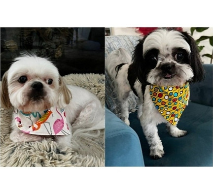 Happy Customers_edited_edited_edited_edi