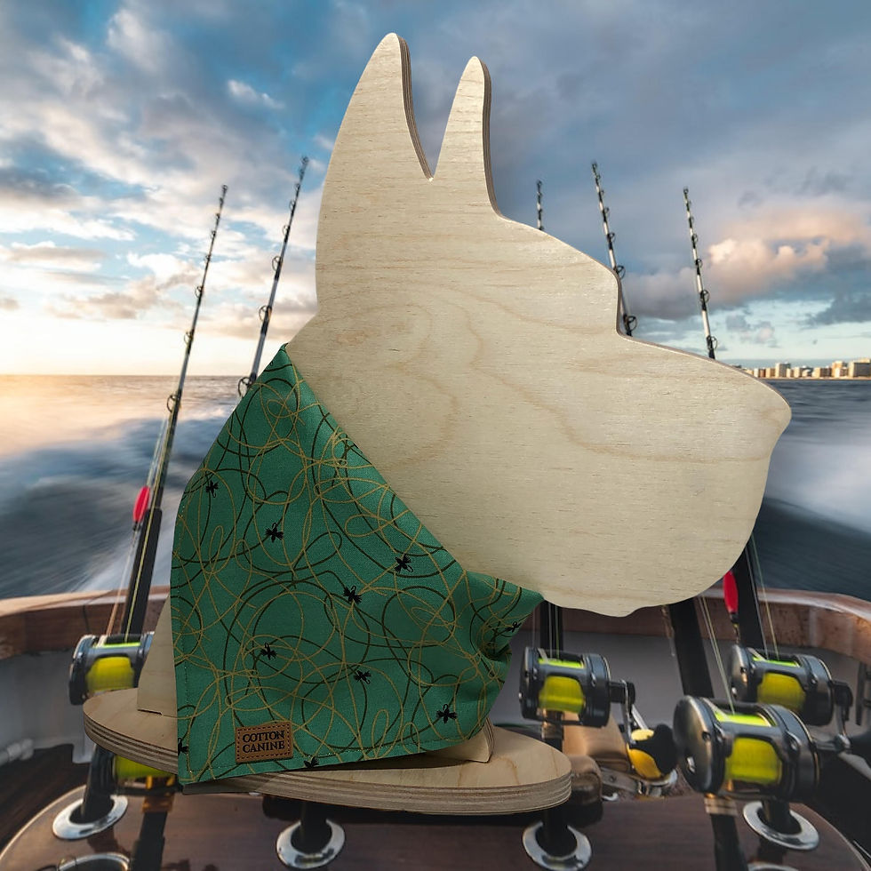 Thumbnail: Go Fish: Tangled Line