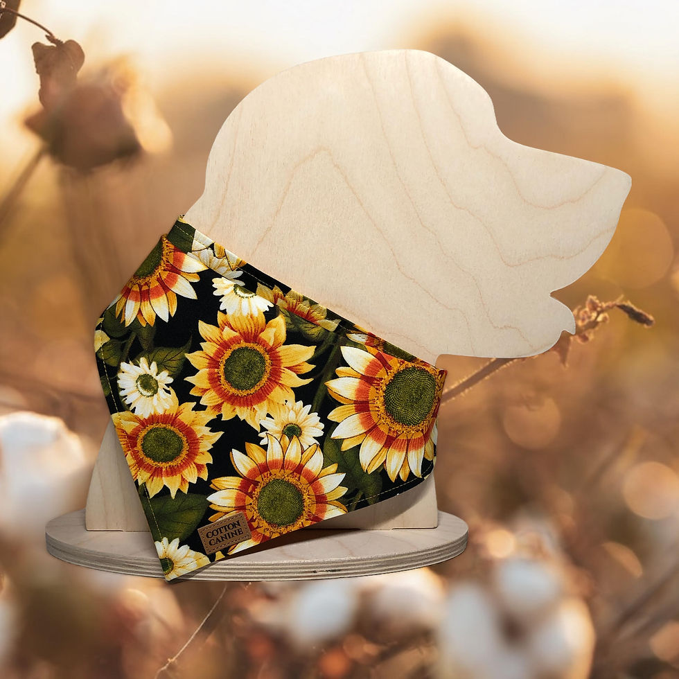 Thumbnail: Fall Sunflowers
