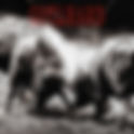 Sounds | Gotthard, #13 (album)