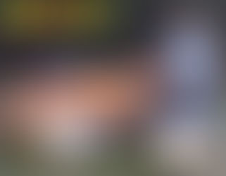 Comuna de Mauricio Mayer compró una rastra para los caminos rurales