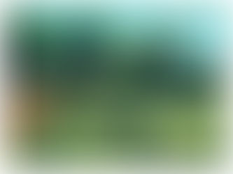 Semana del Bosque Nativo Pampeano