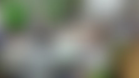 Se reunió la Mesa de Ganados y Carne: saldo positivo para el 2017