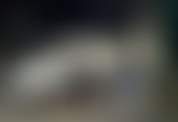 Donaron los órganos de una pequeña