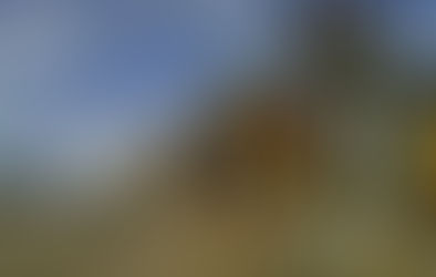 Las medidas golpean fuerte al biodiesel e impactan en pymes pampeanas