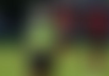 Malvina Schiel, árbitra nacional