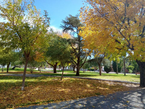 Tras una semana fría, vuelven los días agradables: el SMN anticipa temperaturas más templadas
