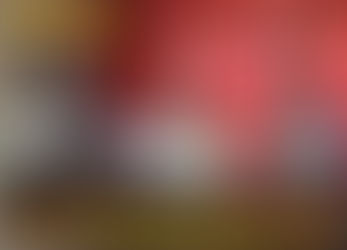 Adriana García: 'Llevará varios años recuperar lo perdido'