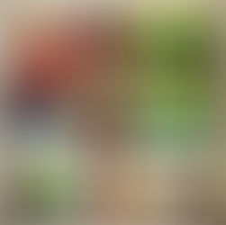 Hoy se presenta "Winifreda canta y baila"