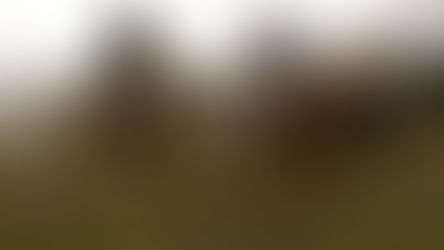 Una exitosa fiesta gaucha en Luan Toro