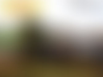 Adriana García: “Servicios son más baratos que la TV por cable”