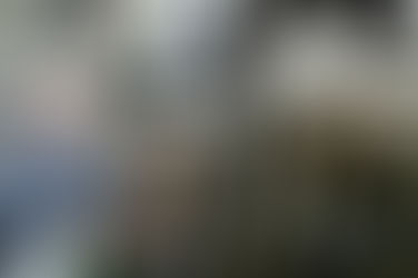 Tamberos pampeanos atraviesan una ''situación crítica''