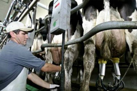 Tamberos pampeanos atraviesan una ''situación crítica''