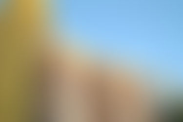 En la UCR afirman que el PRO hará bloque aparte porque no le dieron la presidencia