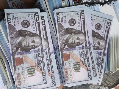 Golpe al narcotráfico: Incautan droga y dólares falsos en operativo integral