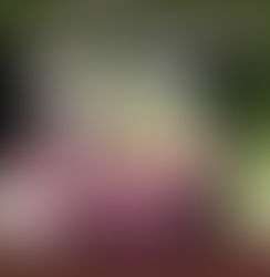 Ya llega: Primera Fiesta Provincial del Mate en Winifreda