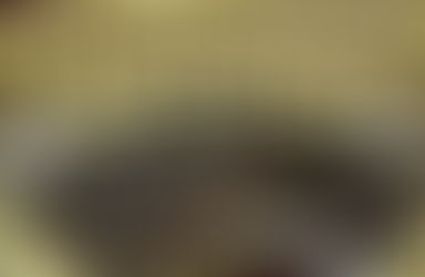 Cómo votaron los pampeanos los proyectos para bajar tarifas y subir jubilaciones