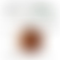 Siguen los preparativos para la Fiesta Winifredense del Mate