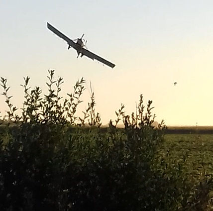 Winifreda: un avión fumigó a metros del pueblo y alarmó a los vecinos