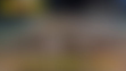 Nuss y The Charo's pelean por la punta