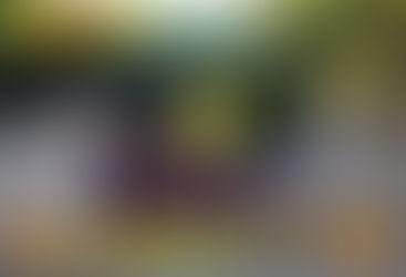 Winifreda: Docentes esquivan el paro