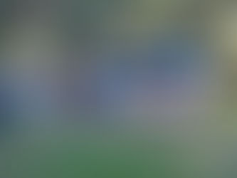 Fiesta Provincial del Mate: Noticia importante para comercios, empresas y prestadores de servicios de Winifreda