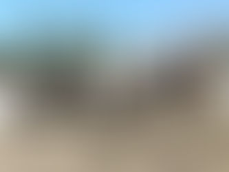 Winifredenses en la Fiesta Nacional del Caldén en Nueva Galia