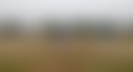 Triunfazo girasolero que todavía tiene chances